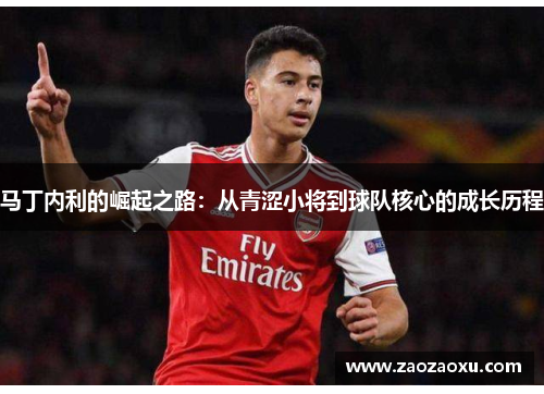 马丁内利的崛起之路：从青涩小将到球队核心的成长历程